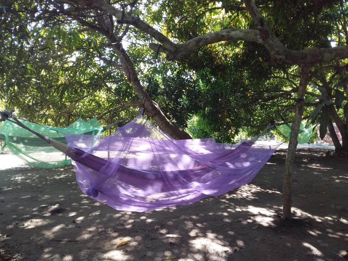 Eco-Camping Mango Feliz Rincon Del Mar San Onofre ภายนอก รูปภาพ