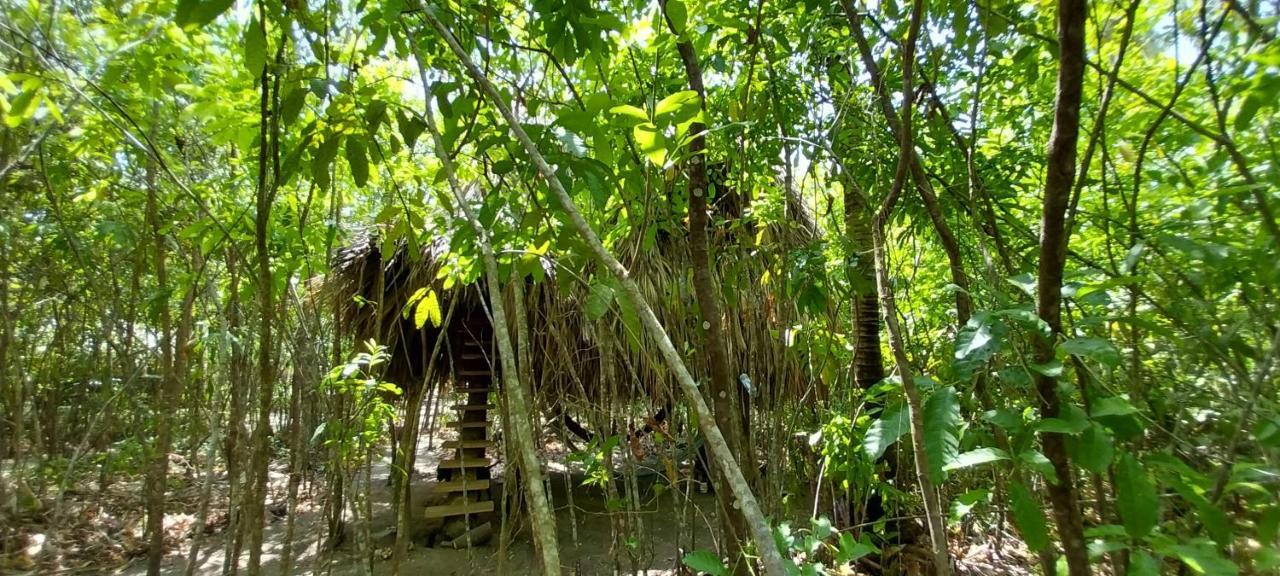 Eco-Camping Mango Feliz Rincon Del Mar San Onofre ภายนอก รูปภาพ