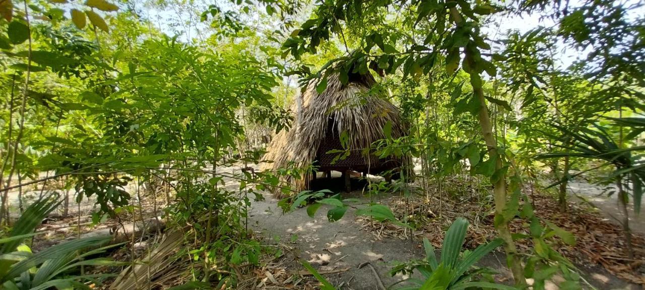 Eco-Camping Mango Feliz Rincon Del Mar San Onofre ภายนอก รูปภาพ