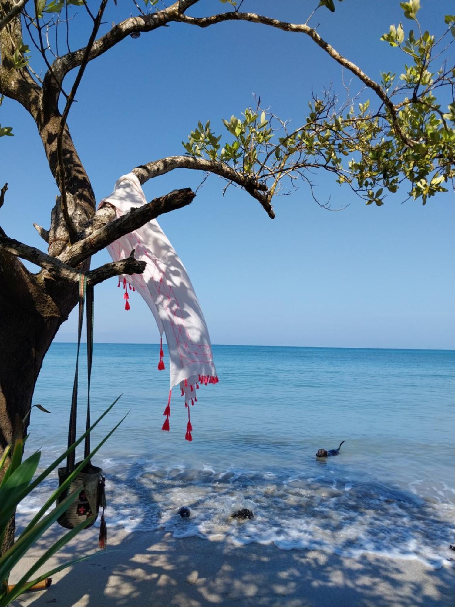 Eco-Camping Mango Feliz Rincon Del Mar San Onofre ภายนอก รูปภาพ