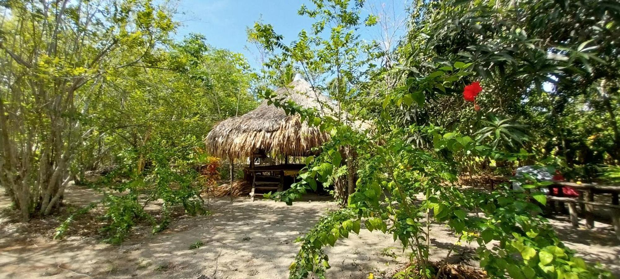 Eco-Camping Mango Feliz Rincon Del Mar San Onofre ภายนอก รูปภาพ