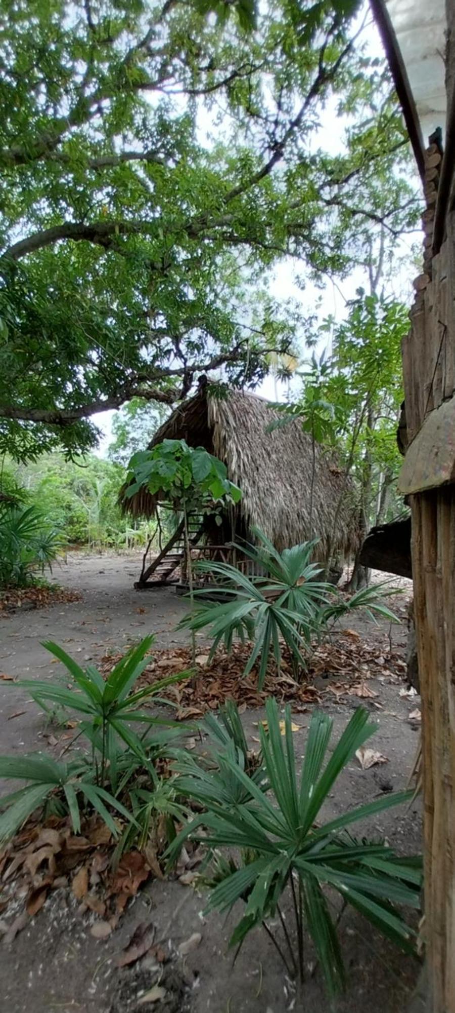 Eco-Camping Mango Feliz Rincon Del Mar San Onofre ภายนอก รูปภาพ