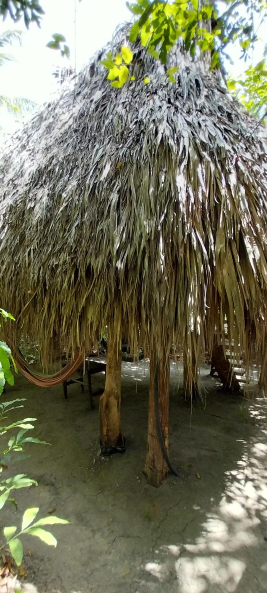 Eco-Camping Mango Feliz Rincon Del Mar San Onofre ภายนอก รูปภาพ